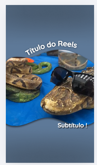Reel 01