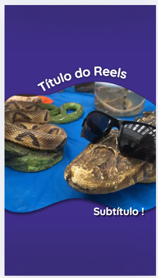 Reel 02