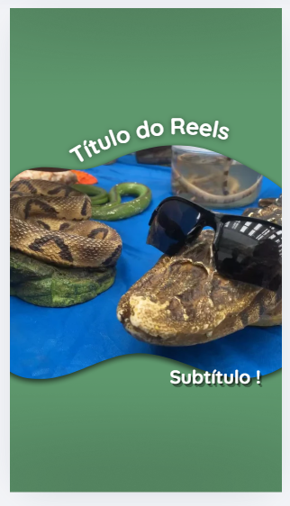 Reel 03